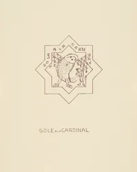 Sole, 1878